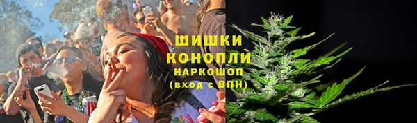 ПСИЛОЦИБИНОВЫЕ ГРИБЫ Гусиноозёрск