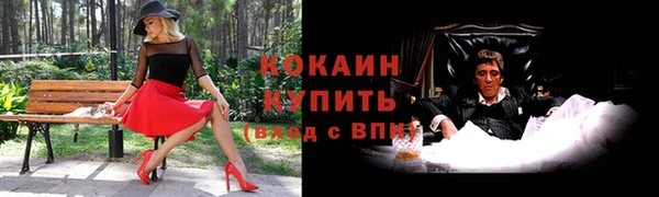 ALPHA-PVP Гусев