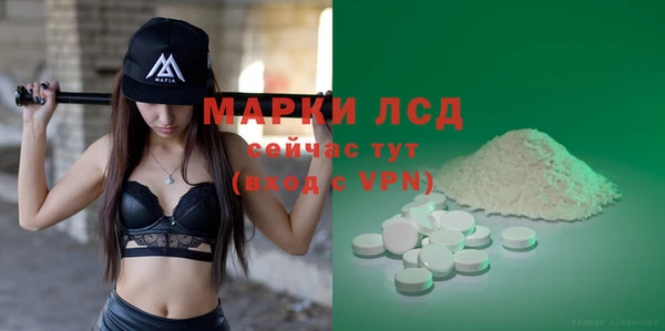 ПСИЛОЦИБИНОВЫЕ ГРИБЫ Гусиноозёрск