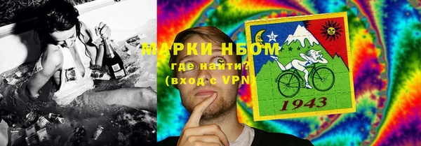 ПСИЛОЦИБИНОВЫЕ ГРИБЫ Гусиноозёрск