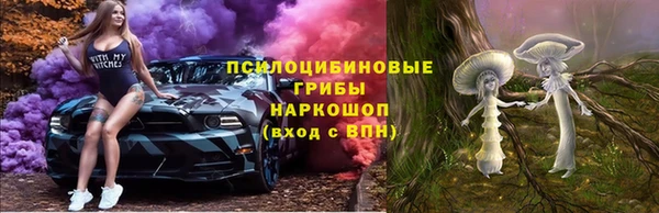ALPHA-PVP Гусев