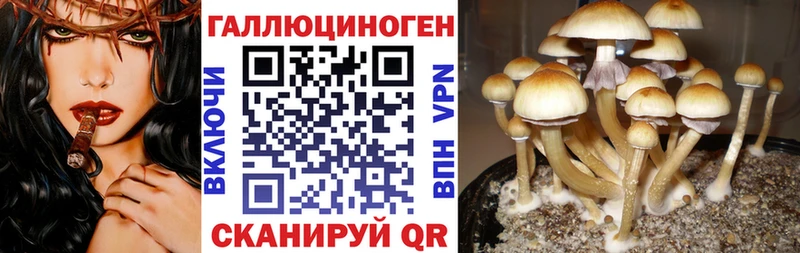 Купить где  Заозёрск  Псилоцибиновые грибы мухоморы 