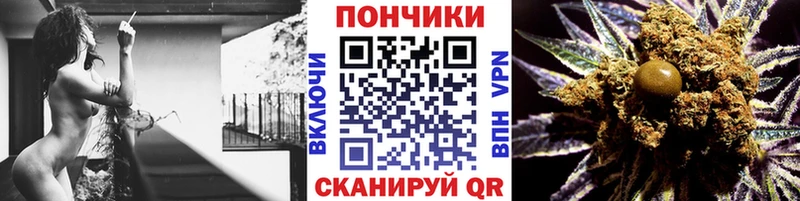 Купить закладки  Заозёрск  Каннабис план 